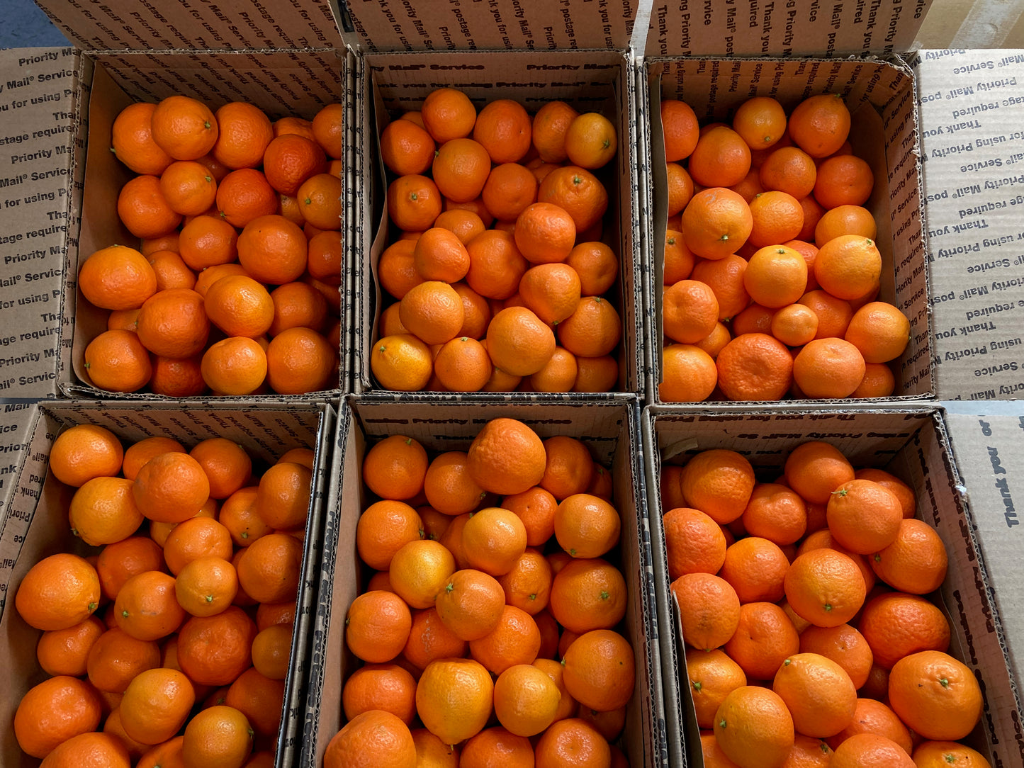 ALGERIAN CLEMENTINES