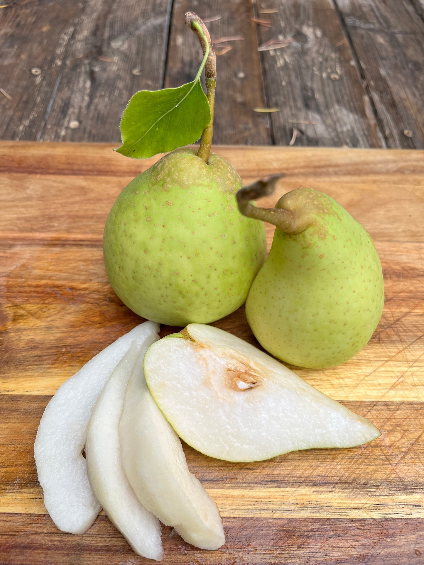 YALI PEARS