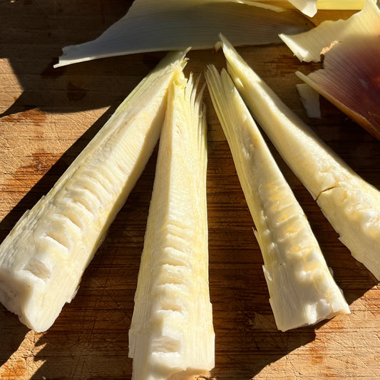 FRESHLY TRIMMED BAMBOO SHOOTS READY TO COOK