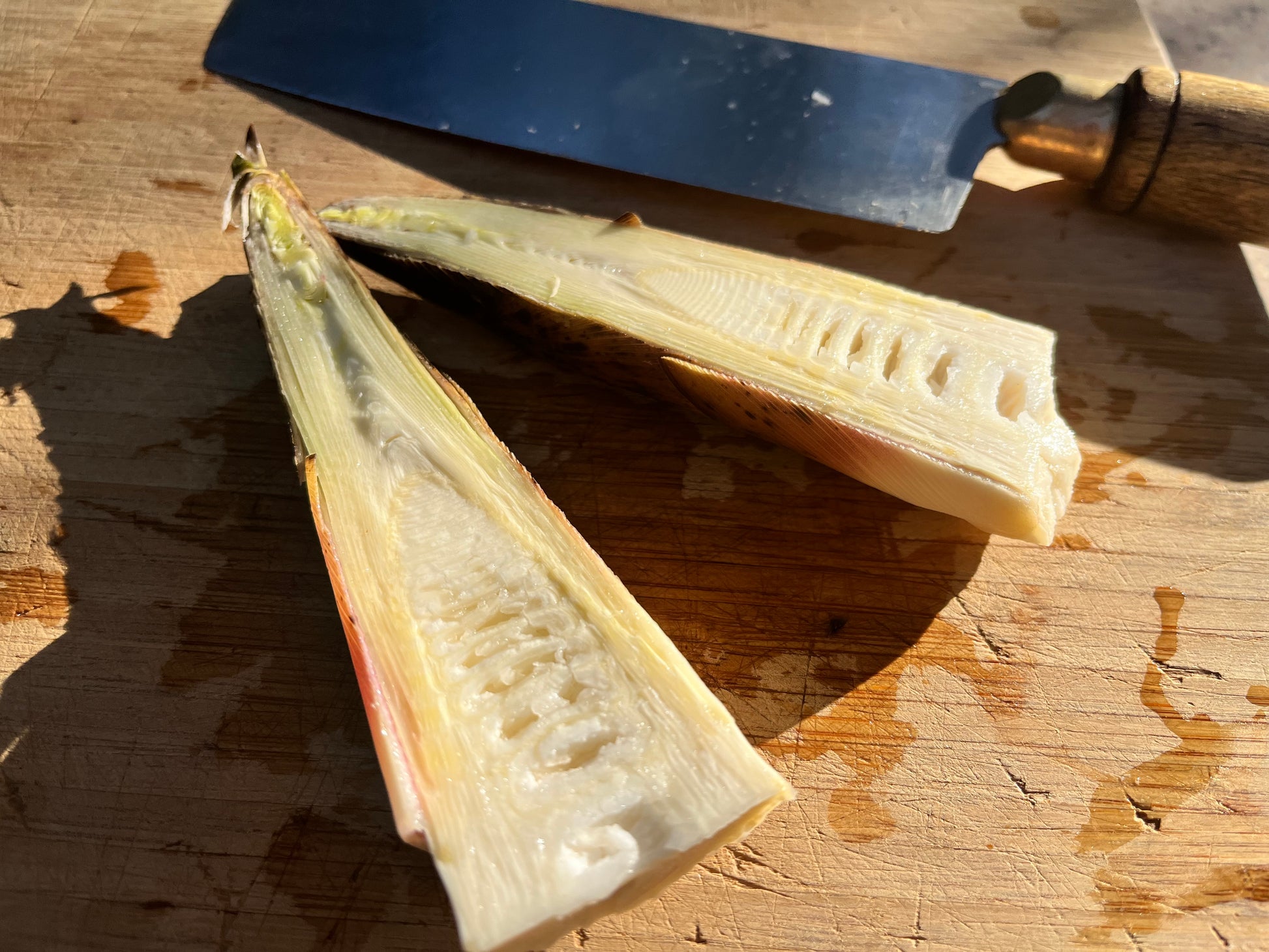 Fresh bamboo shoot split in half