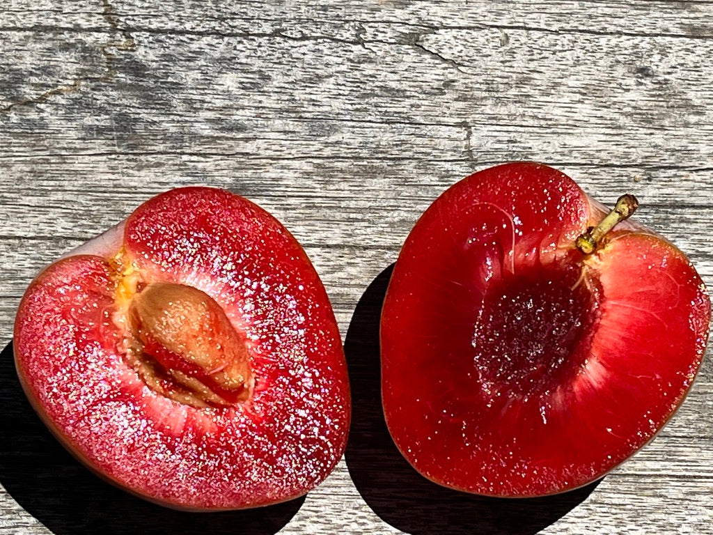 ELEPHANT HEART PLUMS
